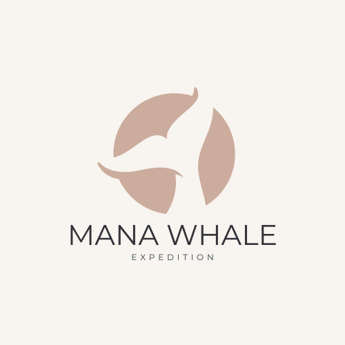 Logo couleur